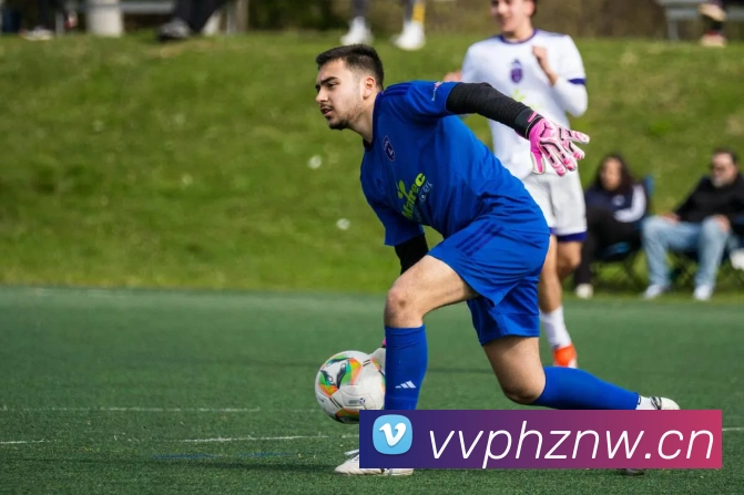 开云app平台生态图